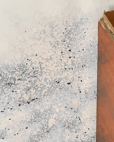 Alcuras® Fast Acting Anti-Mold Wall Cleaner Spray